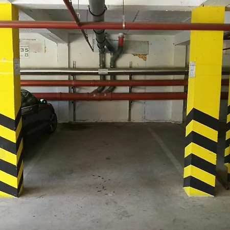 Nikola *